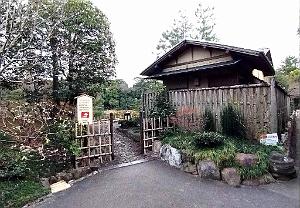 NAGOYA - Parc Tokugawa - 10.01.2024 - 29